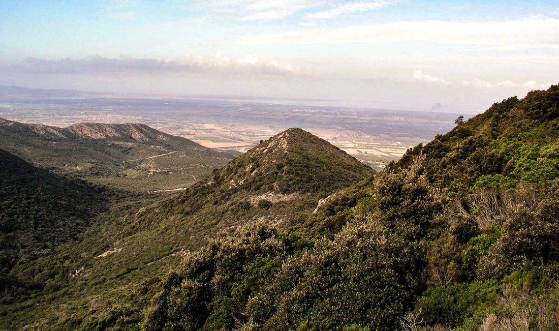 Vulcani & Ceramica | Alla scoperta del Monte Arci