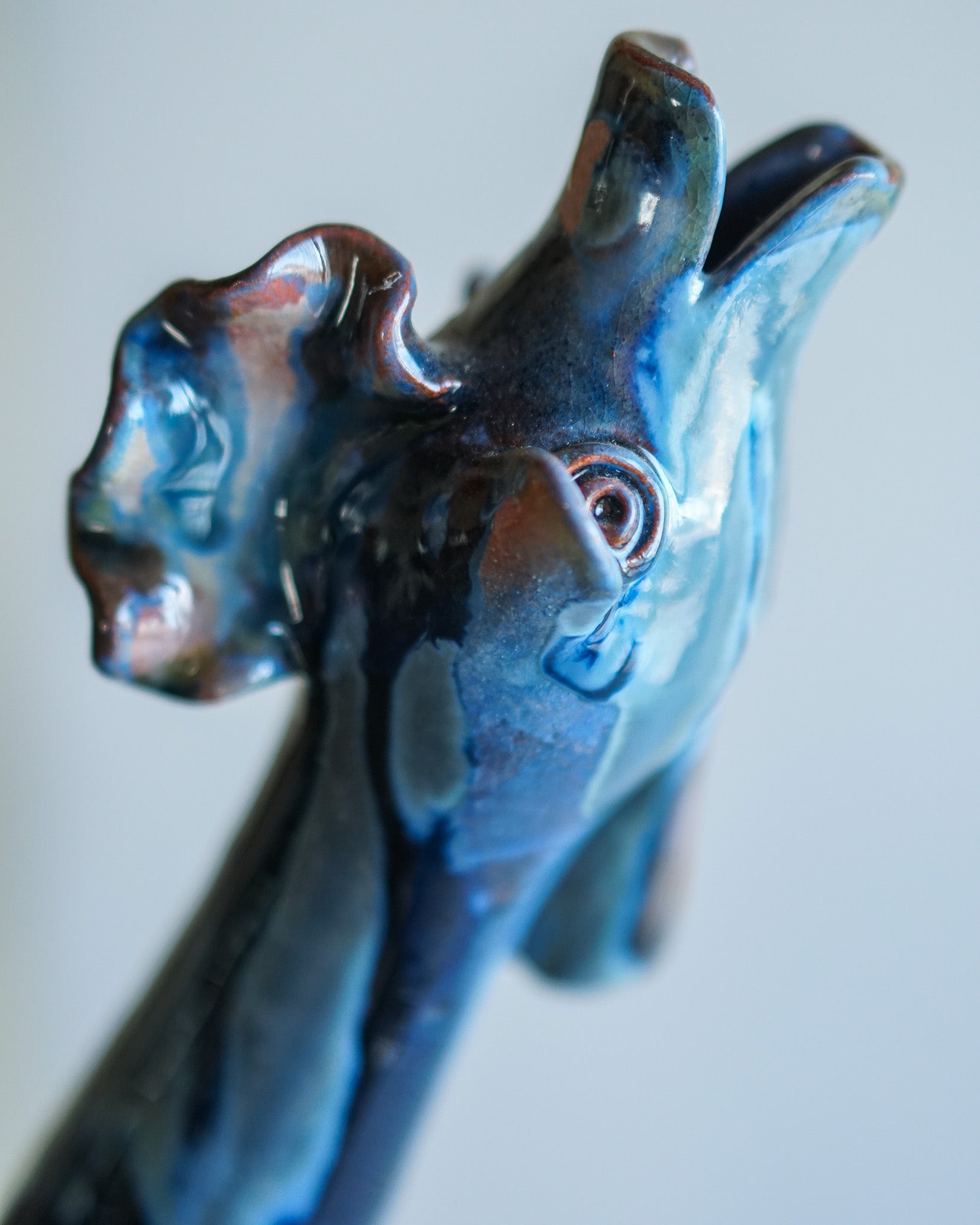 Brocca Gallo Canterino di Margherita Pilloni